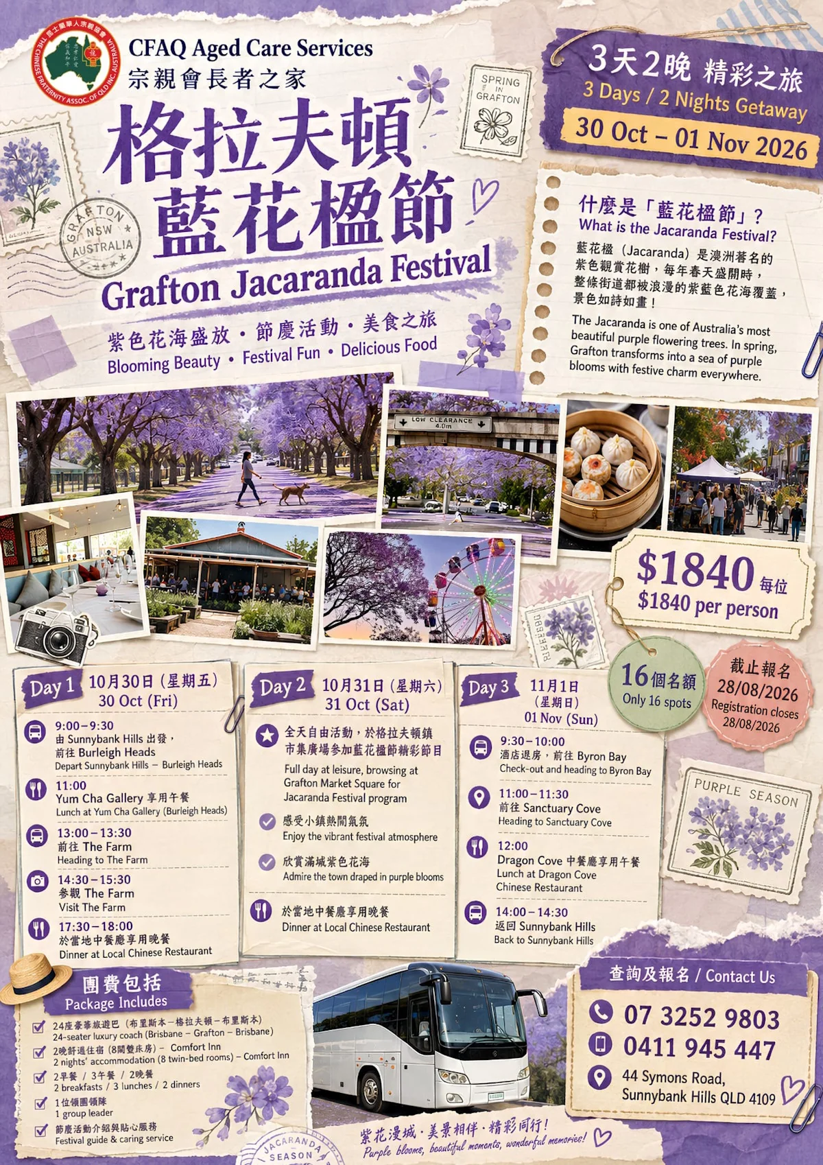 Grafton Jacaranda Festival