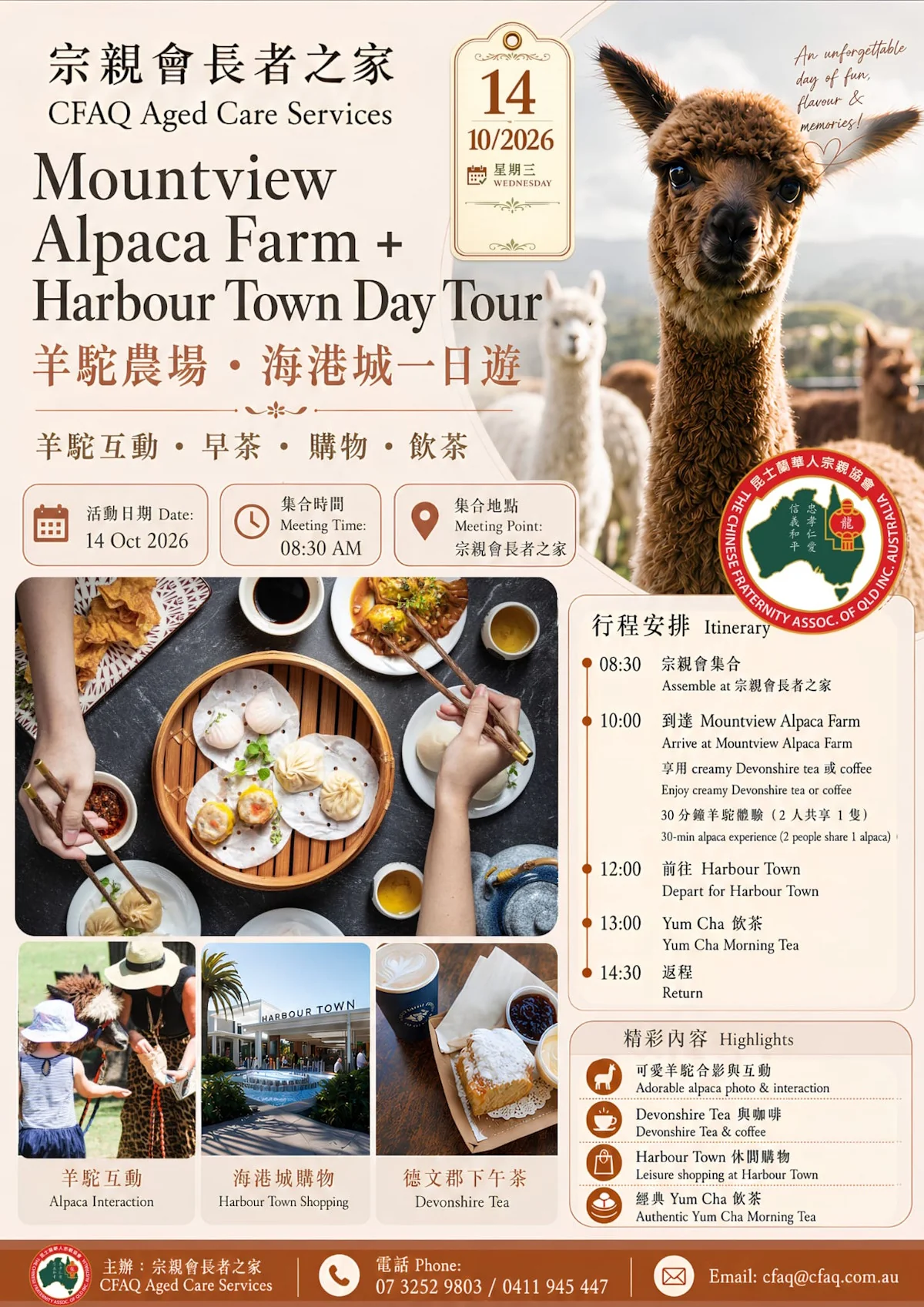 Mountview Alpaca Farm + Harbour Town Day Tour